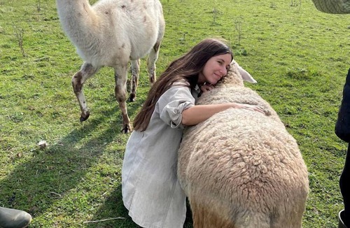 Markdale House | The Llama Lounge
