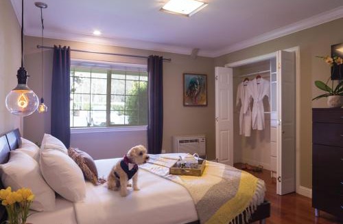 Upper Lake Cabin | The Lodge at Blue Lakes