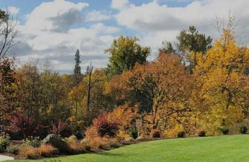Roseburg Hotel | The Lodge at Roseburg