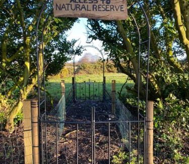 Walberswick Cabin | The Lodge