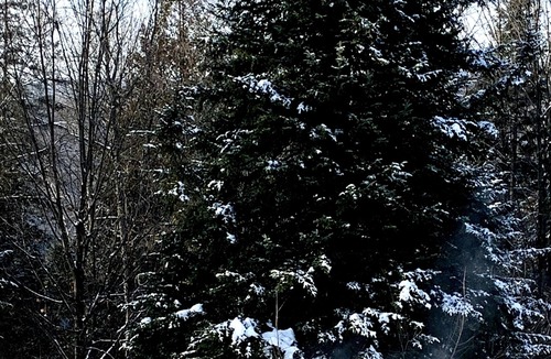 Morin Heights Ski Chalet | The Lodge house with swimming pool and spa