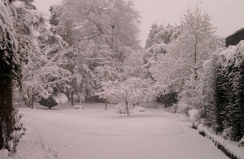 Forges-les-Eaux Cottage | The lodging of the largest beech