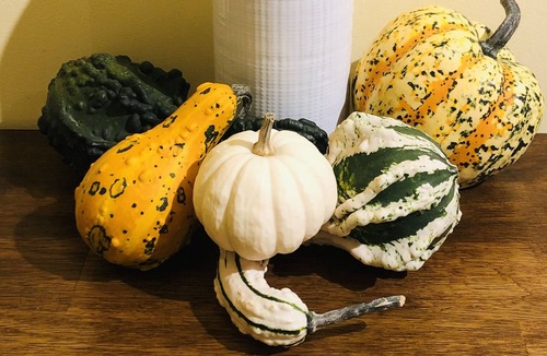 Westford Apartment | The Loft: A Romantic Winter Getaway