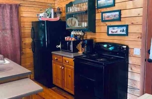 Eureka Springs Cabin | The Loft at Bear Mountain with Hottub