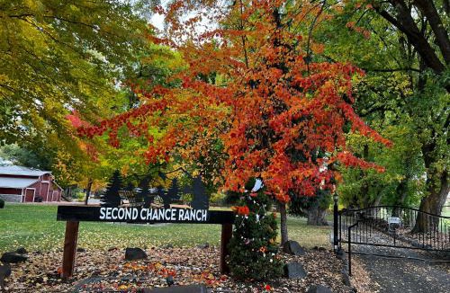 Gleed Apartment | The Loft on Old Naches