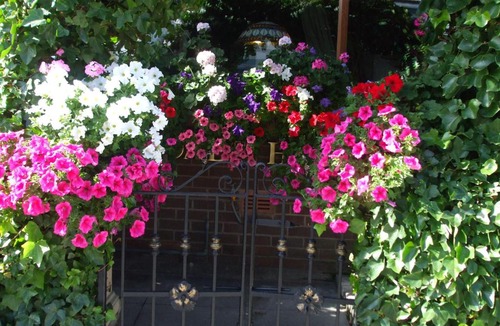 North Shore House | The Lonsdale