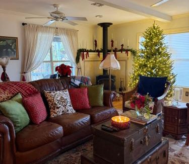 Eureka Springs House | The Lookout House at The Bluebird
