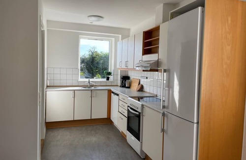 Horsens Apartment | The Luxe Loft Summary