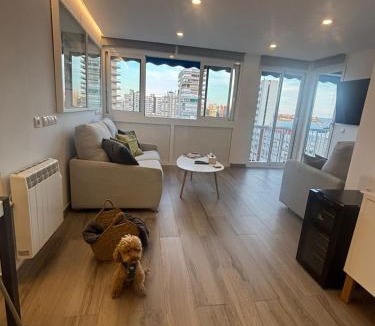 L'Albufereta Apartment | The luxury suite