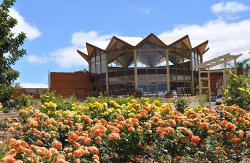 Lyndoch Hotel | The Lyndoch Motel