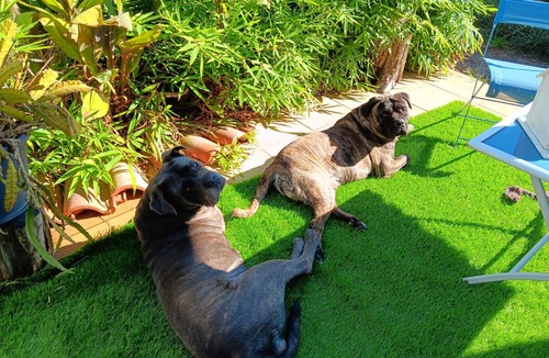 Le Taillan-Medoc Hotel | The Médoc escapade