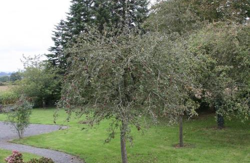 Moyon-Villages Bed & Breakfast | The Magnolias B&B