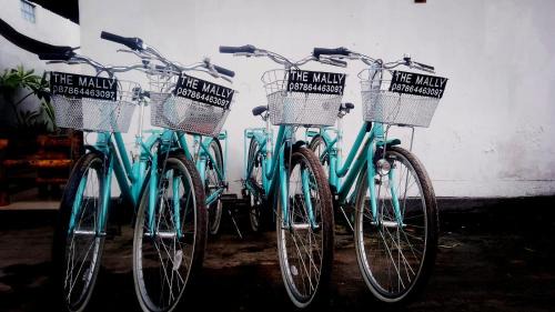Gili Trawangan House | The Mally Homestay