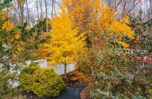 Newcastle Bed & Breakfast | The Manor at 34 Main