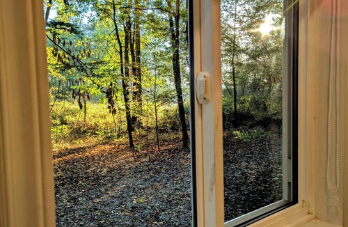 West Lincoln Cabin | The Maple Nook