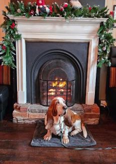 Alton Hotel | The Market Hotel