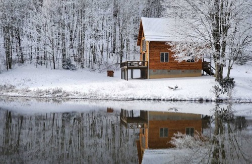 Madison County Cabin | The Martingale at Max Patch