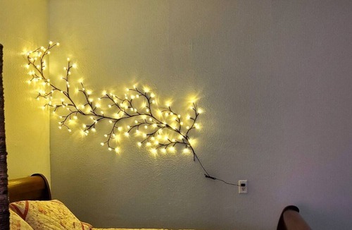Quitman Apartment | The Meadow Vista Apt B
