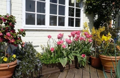 Tisbury Cottage | The Mews Cottage