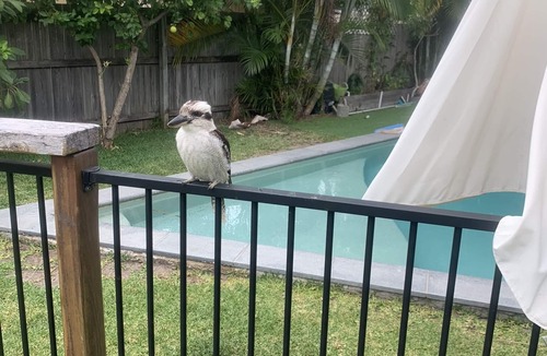 Miami House | The Miami Beach vacation home