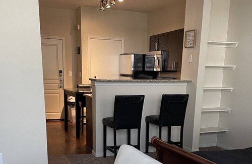 Midtown Apartment | The Midtown Houston Experience