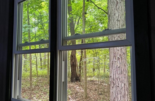 Mill Creek Cabin | The Mill Creek Hideout