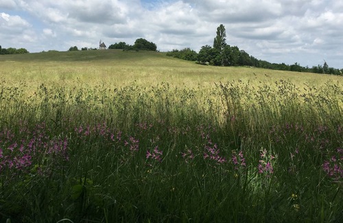 Montaigu-de-Quercy House | The "Miller's House", Ecolodge for nature lovers