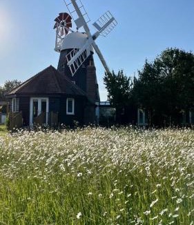 Swaffham Prior House | The Millers Cottage