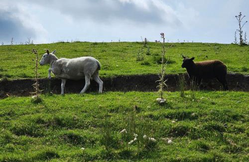 Todmorden House | The Milne