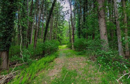 Conestoga House | The Minimalist Retreat