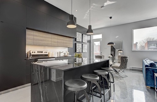 Pointe-Saint-Charles Apartment | THE MODERN CHIC | Two-Bedroom Loft w. Terrace