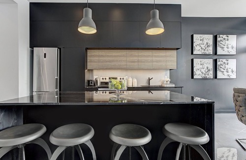 Pointe-Saint-Charles Apartment | THE MODERN CHIC | Two-Bedroom Loft w. Terrace
