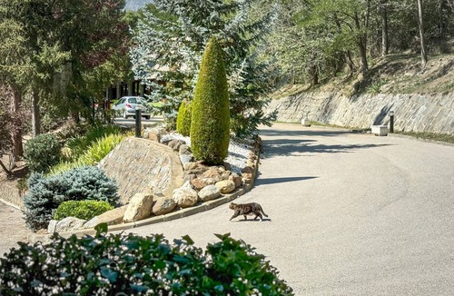 Enveitg Apartment | The Montana Park racó