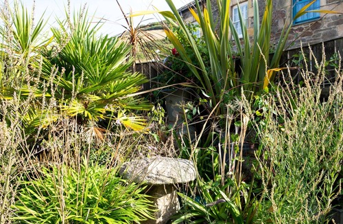 Gorran Haven Cottage | The Moonbeach Cabin