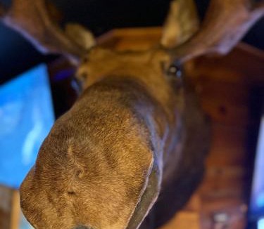 Glenwood Hotel | The Moosehead