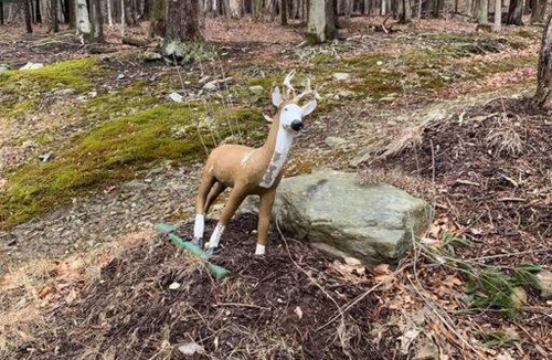 Florida Ski Chalet | The Mountain Cottage