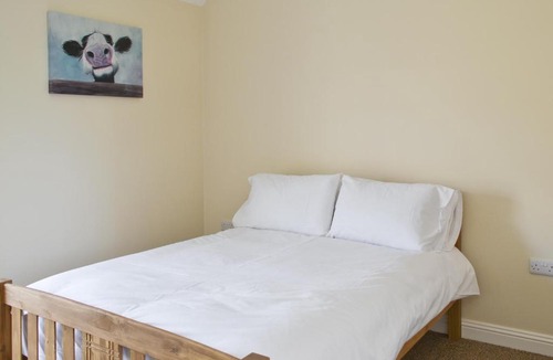 Barnard Castle House | The Museum