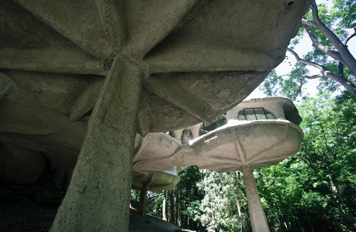 Pittsford House | The Mushroom House