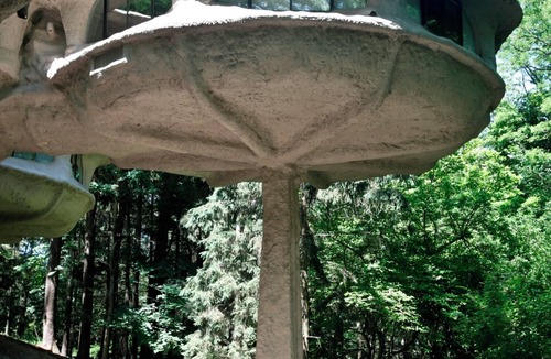 Pittsford House | The Mushroom House