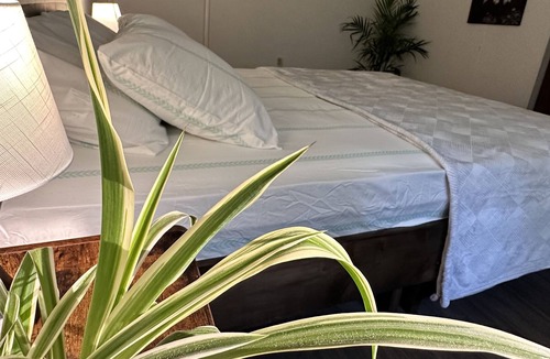 Bancroft Apartment | The nature’s retreat in Bancroft