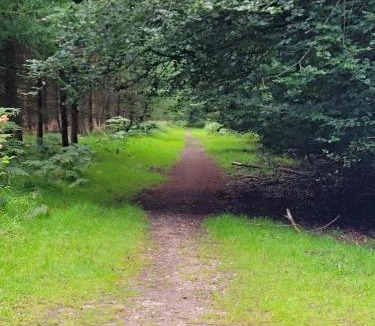 Cinderford Apartment | The Nest at Deneside