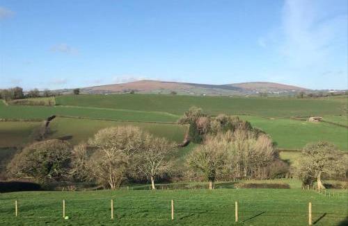 Modbury House | The Nest