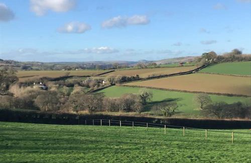 Modbury House | The Nest