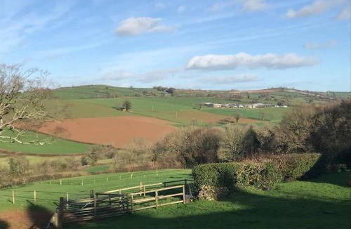 Modbury House | The Nest