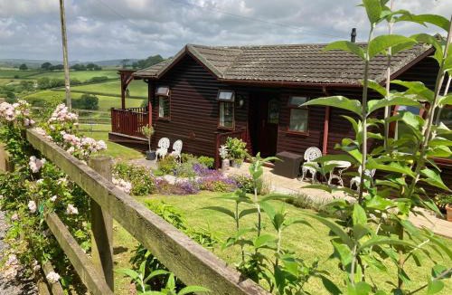 Modbury House | The Nest