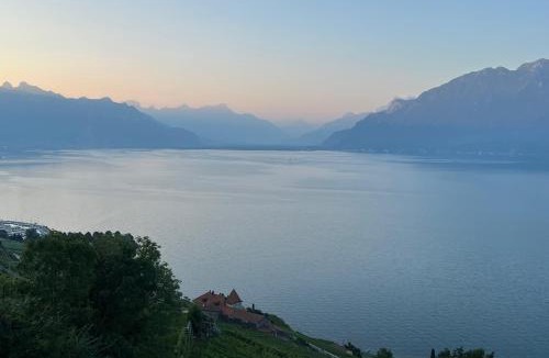 Chardonne Apartment | The Nest Lavaux