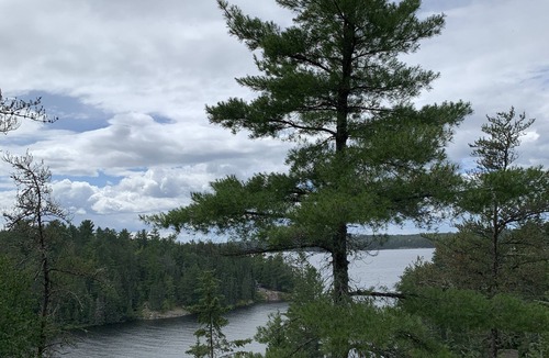 Kenora Cottage | The Nest - Modern 3 Bedroom Cottage with Bunkie