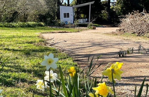 Mount Irvine House | The Nest - Tiny Home, Mt Irvine