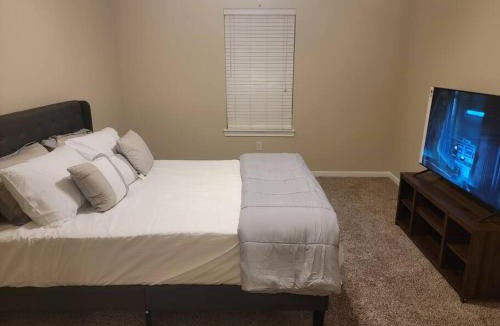 Astrodome Apartment | The Nest