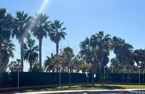 Marina d'Or Apartment | The New CasaSoluna
